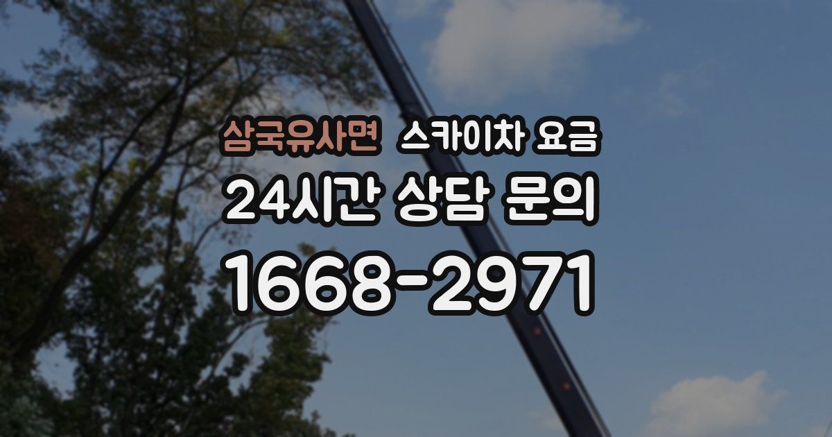 삼국유사면 스카이차 요금