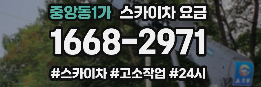 중앙동1가 스카이차 요금