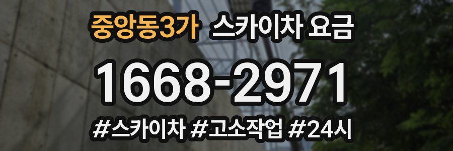 중앙동3가 스카이차 요금