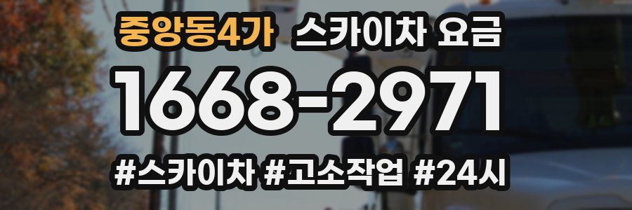 중앙동4가 스카이차 요금