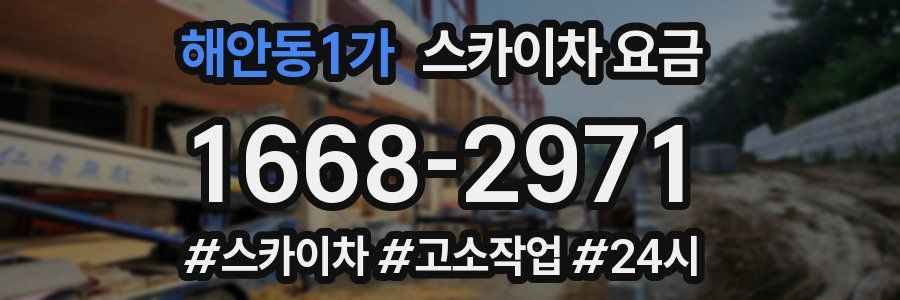 해안동1가 스카이차 요금