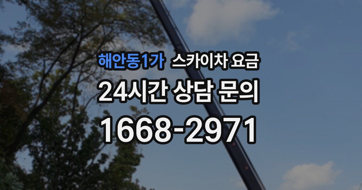 해안동1가 스카이차 요금
