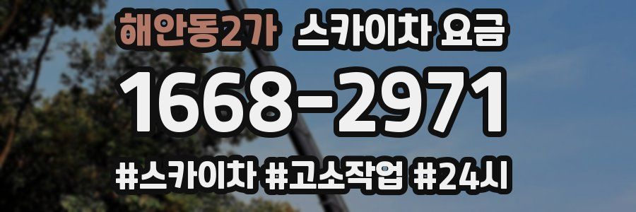 해안동2가 스카이차 요금