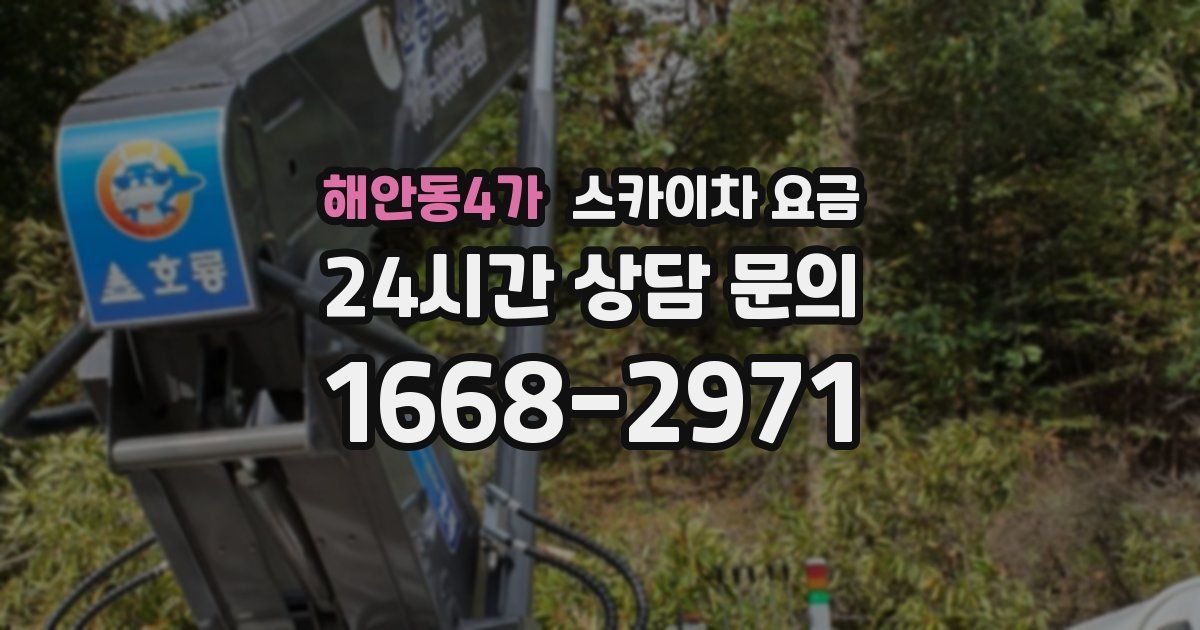 해안동4가 스카이차 요금