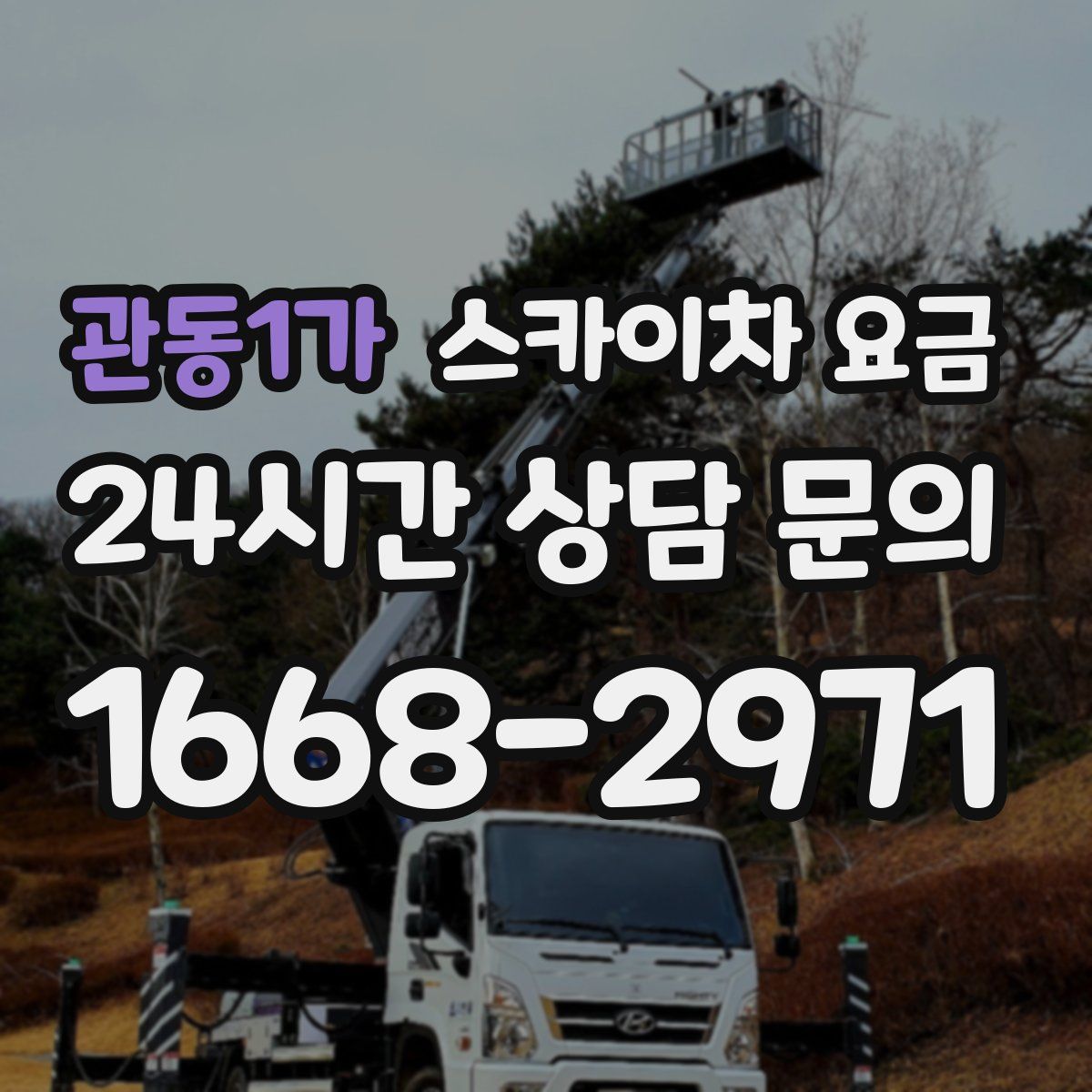 관동1가 스카이차 요금