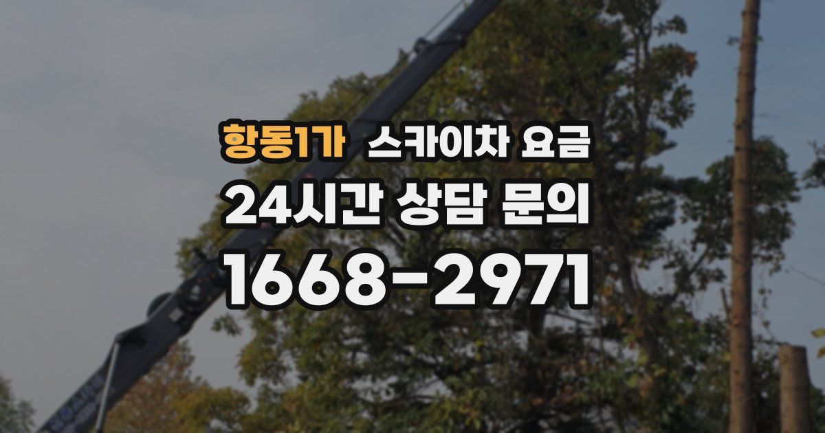 항동1가 스카이차 요금