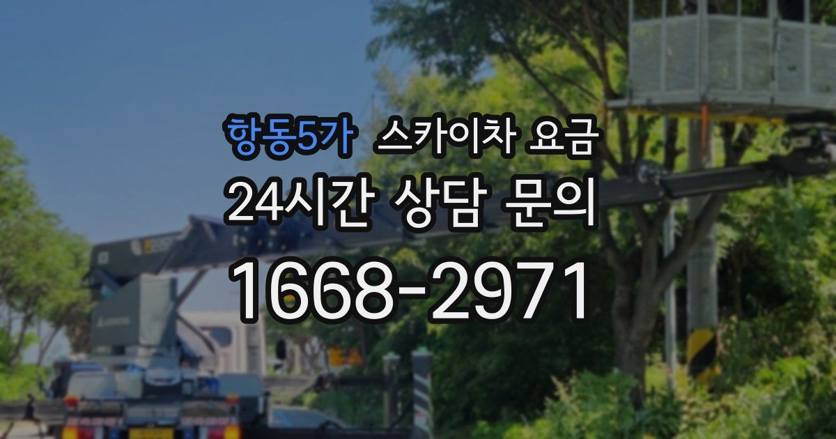 항동5가 스카이차 요금