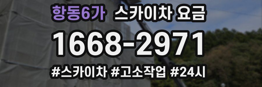 항동6가 스카이차 요금