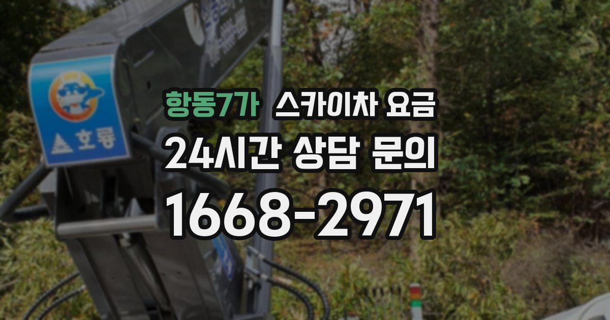항동7가 스카이차 요금