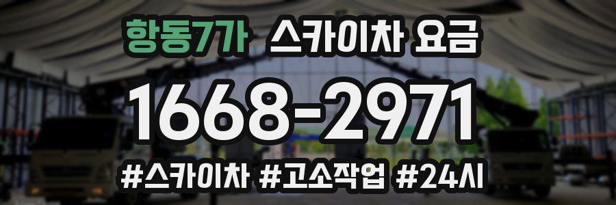 항동7가 스카이차 요금