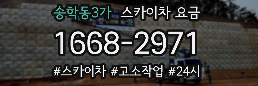 송학동3가 스카이차 요금