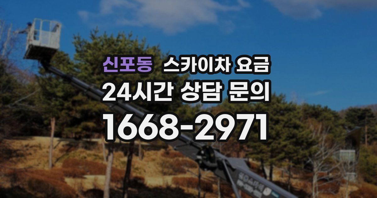 신포동 스카이차 요금