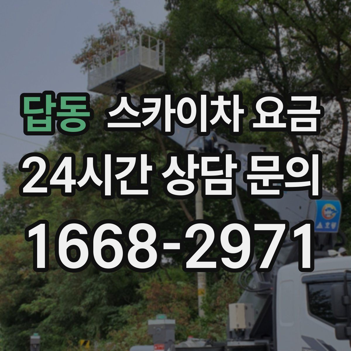 답동 스카이차 요금 현장 조건별 요금 포인트를 한 번에 정리