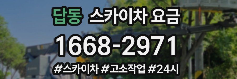 답동 스카이차 요금