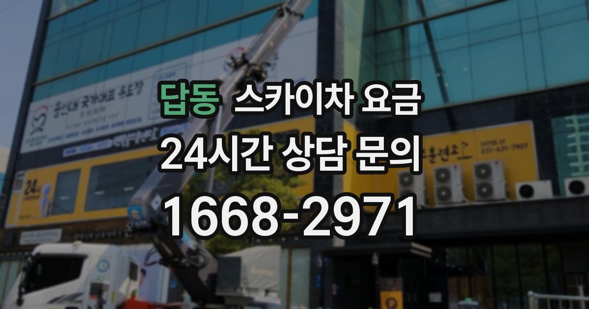 답동 스카이차 요금