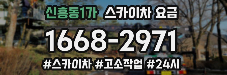 신흥동1가 스카이차 요금