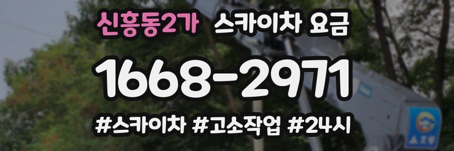 신흥동2가 스카이차 요금