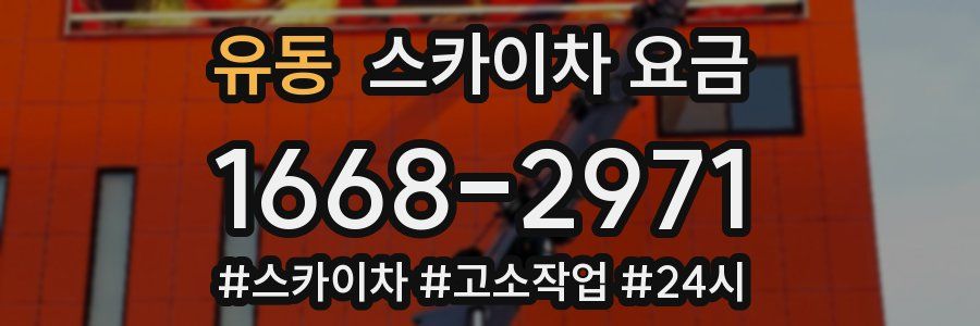유동 스카이차 요금