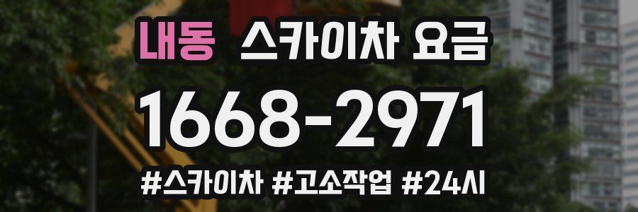 내동 스카이차 요금