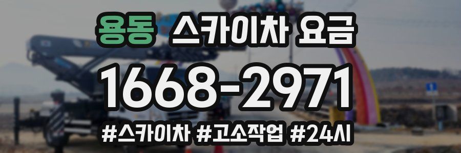 용동 스카이차 요금