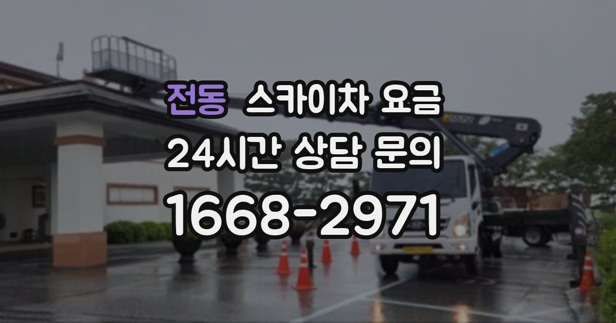 전동 스카이차 요금