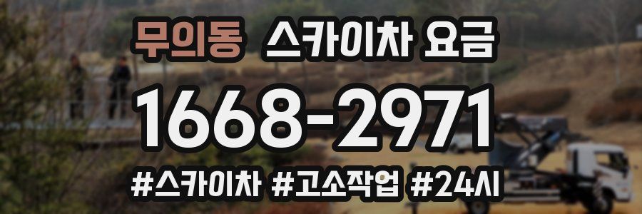 무의동 스카이차 요금