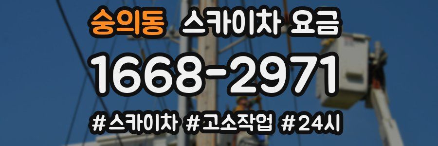 숭의동 스카이차 요금