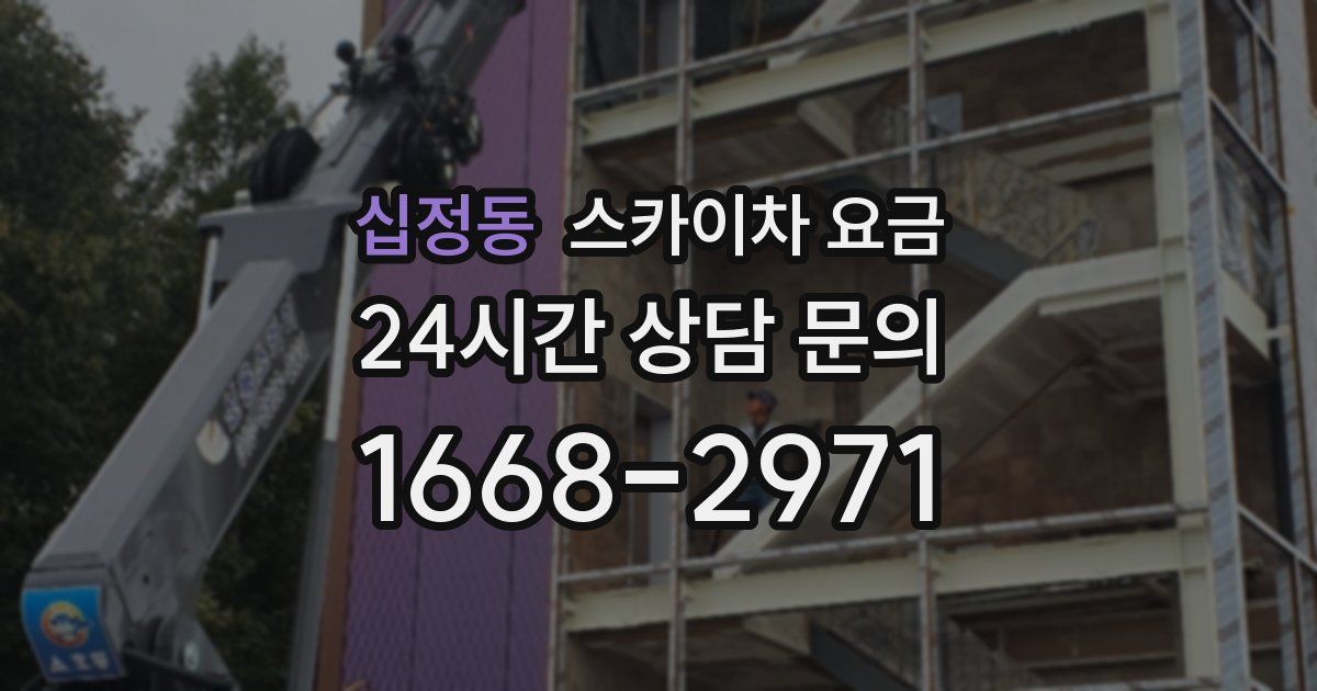 십정동 스카이차 요금