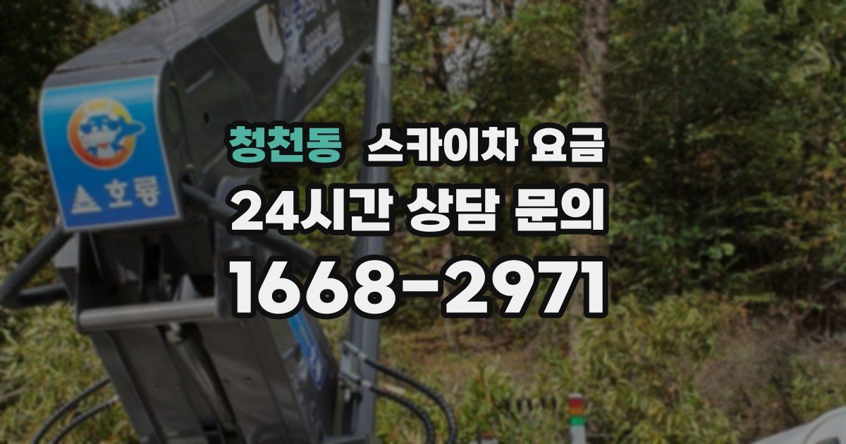 청천동 스카이차 요금