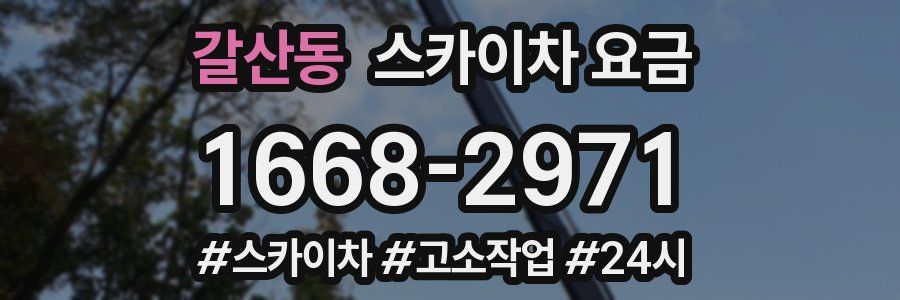 갈산동 스카이차 요금