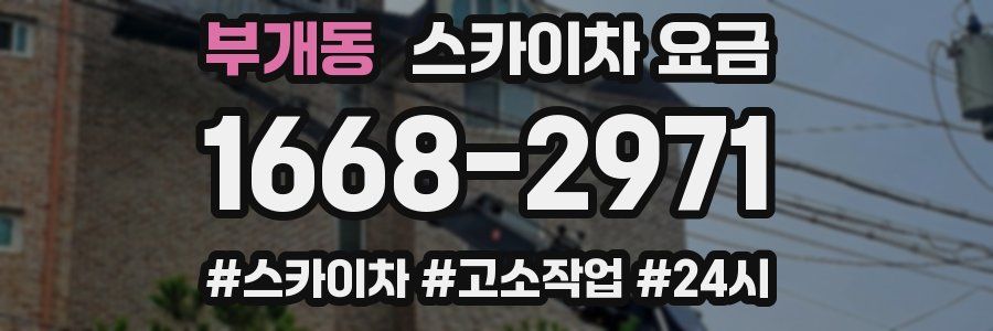 부개동 스카이차 요금