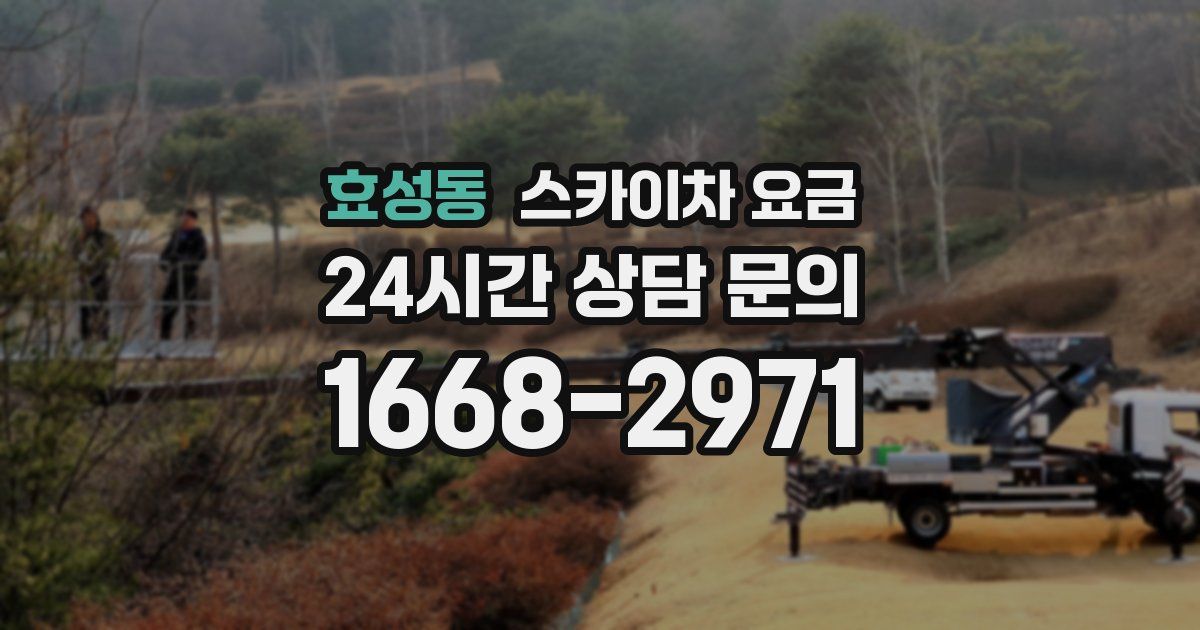 효성동 스카이차 요금