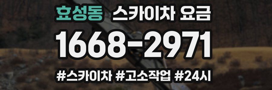 효성동 스카이차 요금