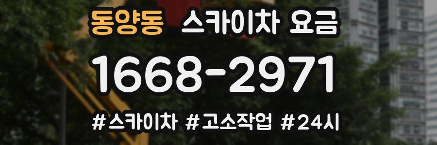 동양동 스카이차 요금