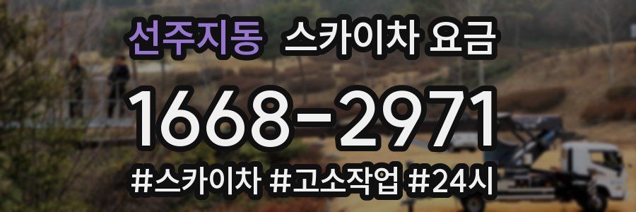 선주지동 스카이차 요금