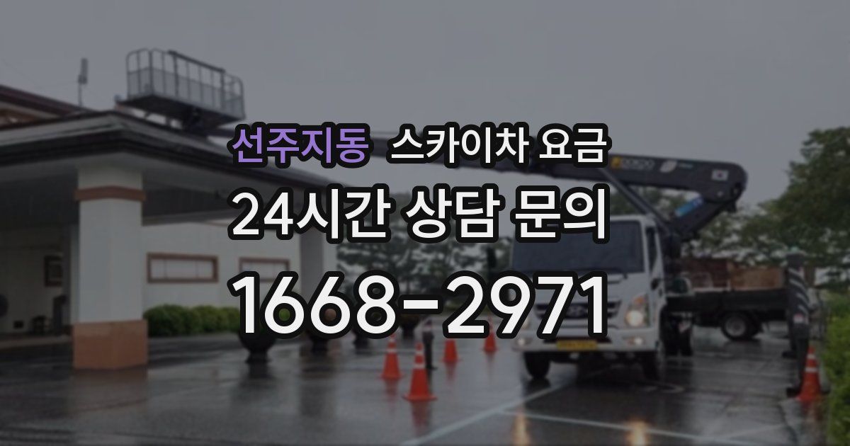 선주지동 스카이차 요금