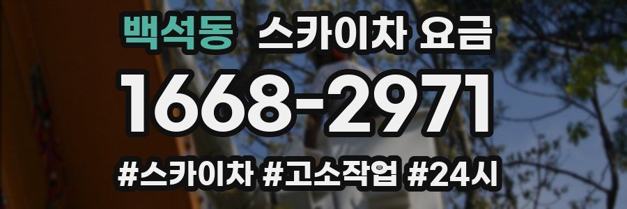 백석동 스카이차 요금