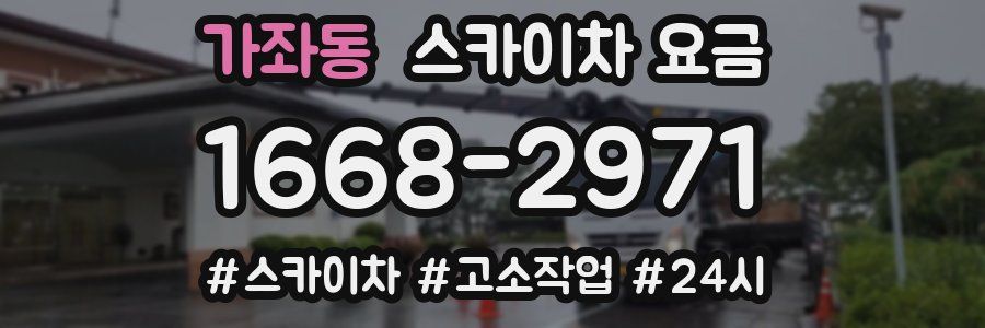 가좌동 스카이차 요금