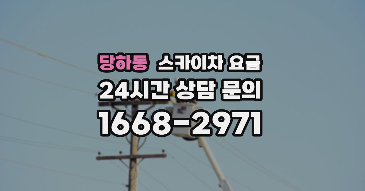 당하동 스카이차 요금