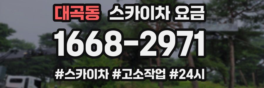 대곡동 스카이차 요금