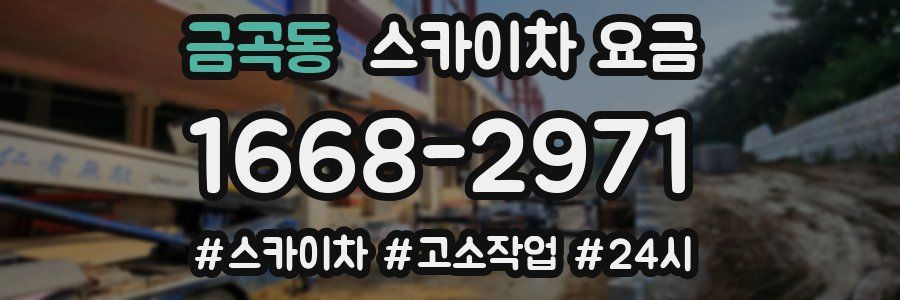 금곡동 스카이차 요금