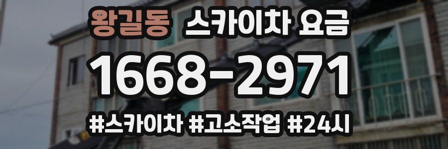 왕길동 스카이차 요금