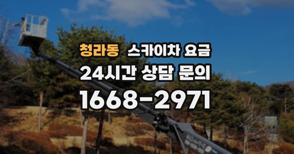 청라동 스카이차 요금