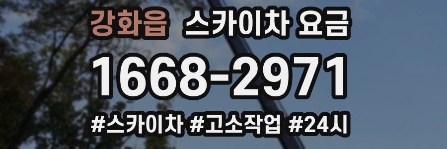 강화읍 스카이차 요금