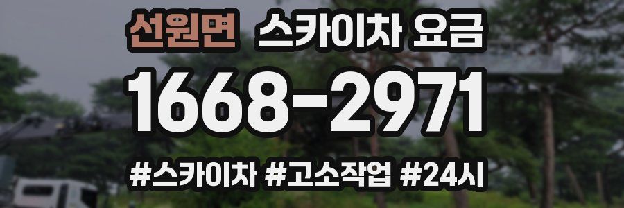 선원면 스카이차 요금