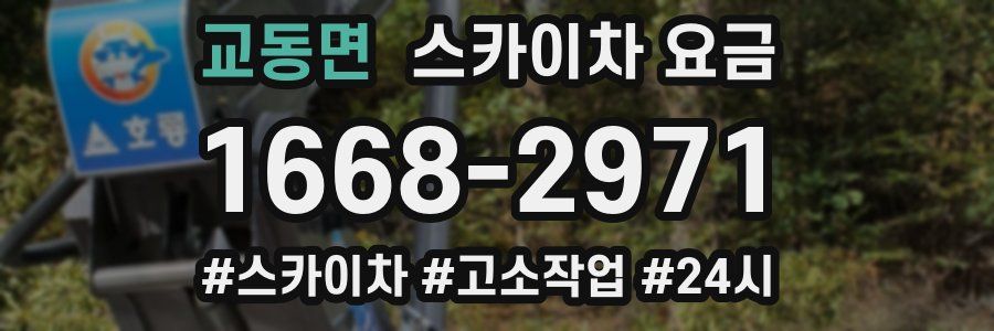 교동면 스카이차 요금