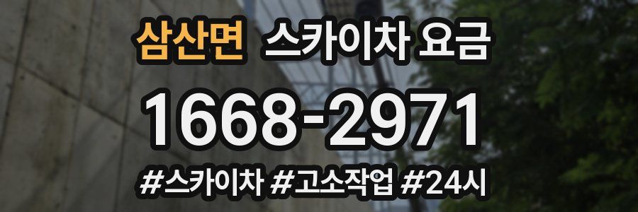 삼산면 스카이차 요금