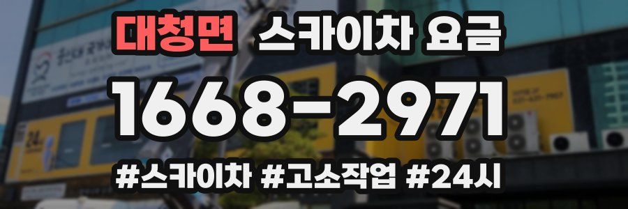 대청면 스카이차 요금