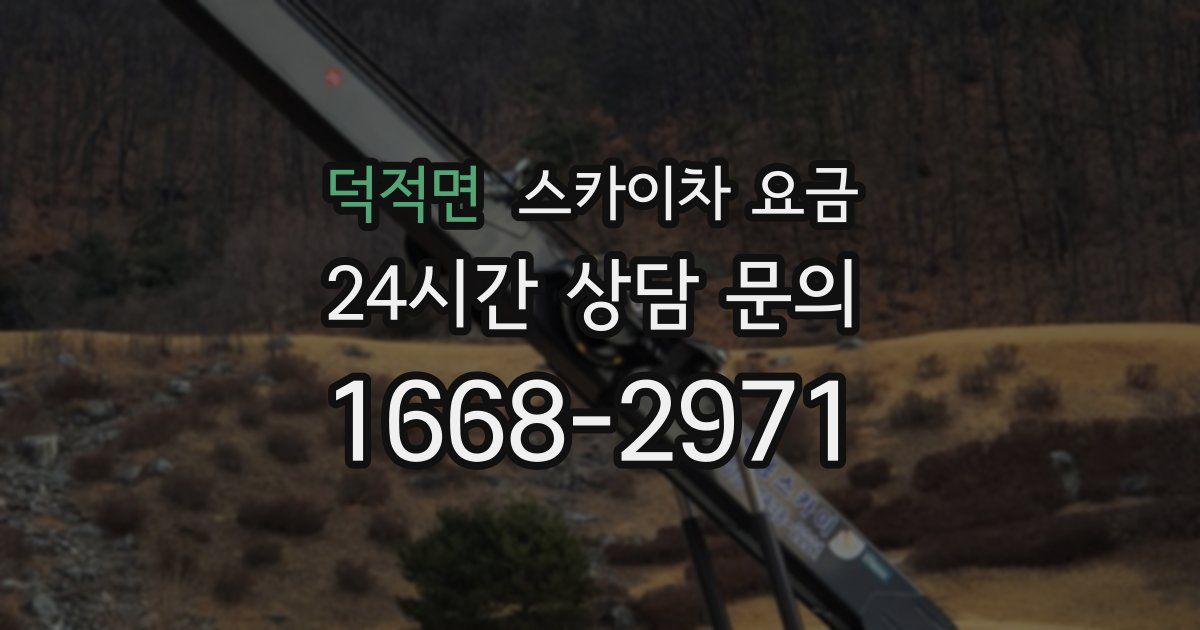 덕적면 스카이차 요금