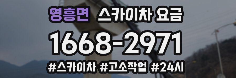 영흥면 스카이차 요금